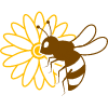 شرکت در قرعه کشی